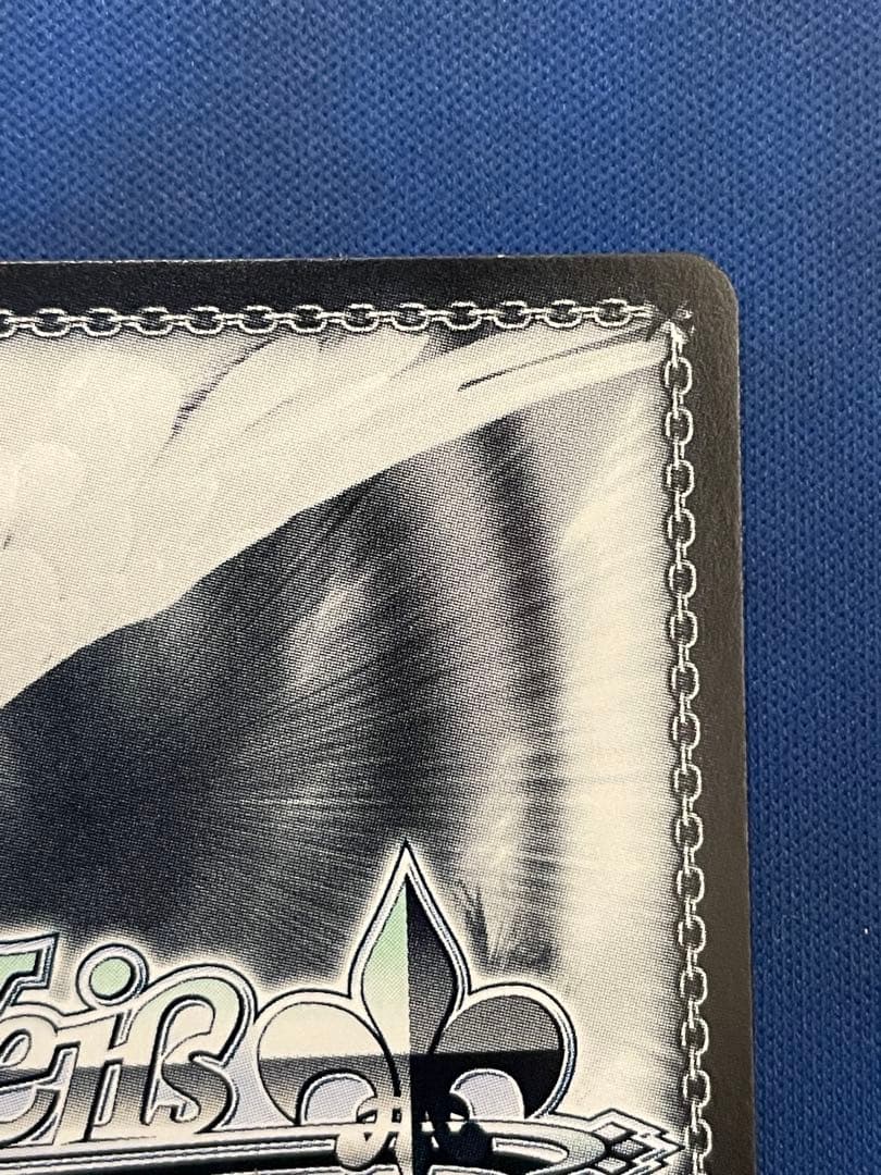 ヴァイスシュヴァルツ トカゲの保護 ティア SP