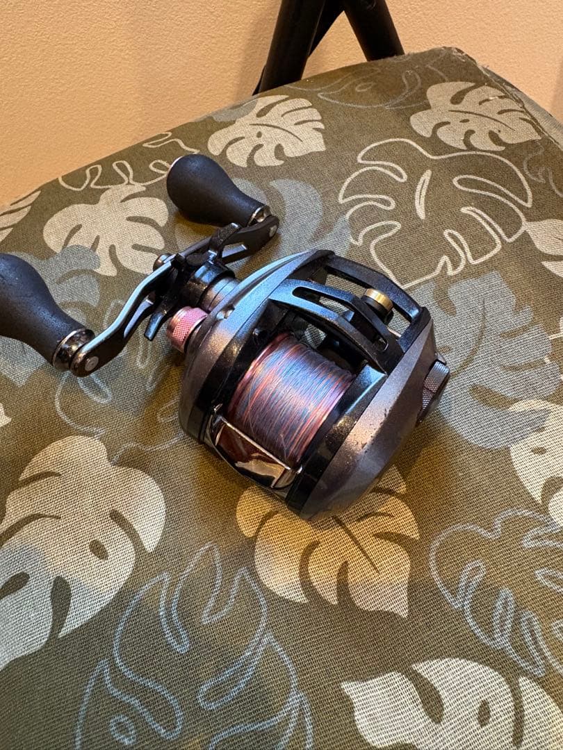 DAIWA 紅牙 100L ベイトリール