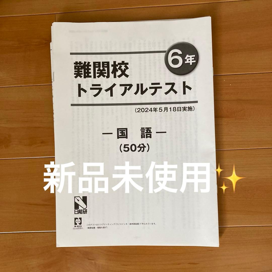 最新！日能研2024年6年生 全国公開模試　育成テスト等フルセット