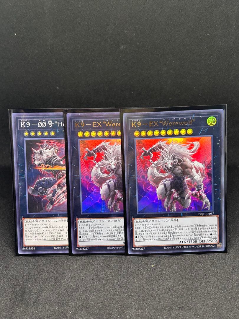 遊戯王　K9 構築済みデッキ