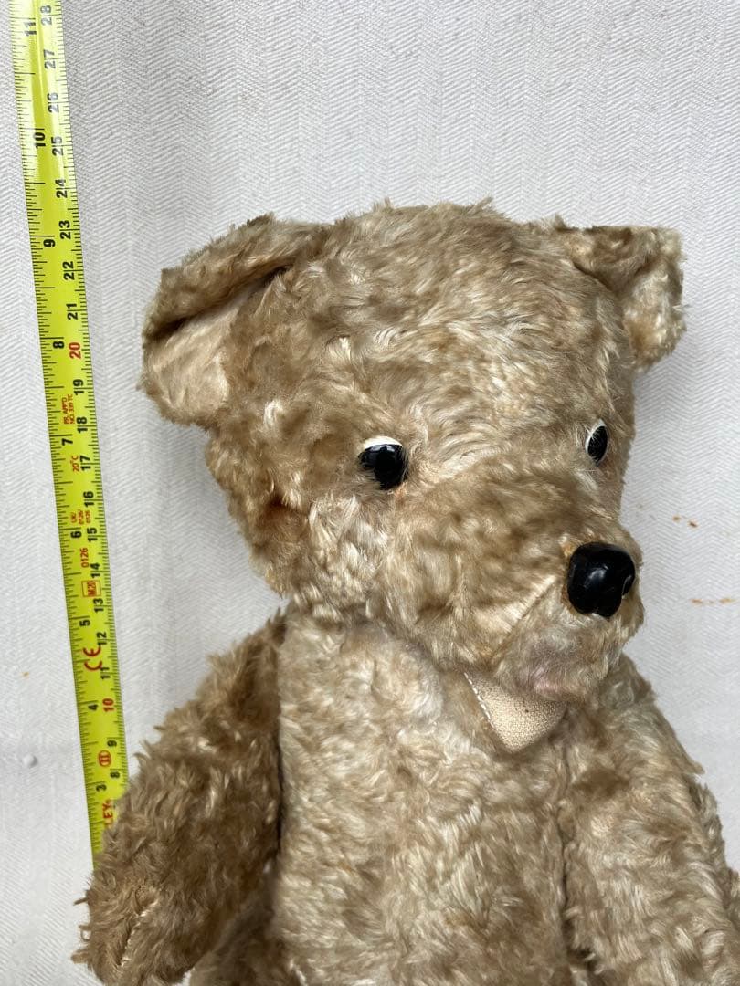 スロベニアの蚤の市に転がっていたテディベア スロヴェニア アンティーク