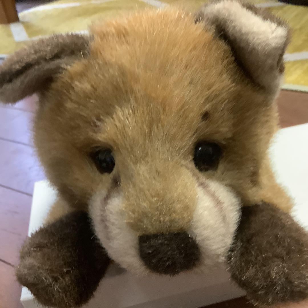 やまね工房　キツネ、エゾリス、モモンガ、やまね、野うさぎのぬいぐるみセット