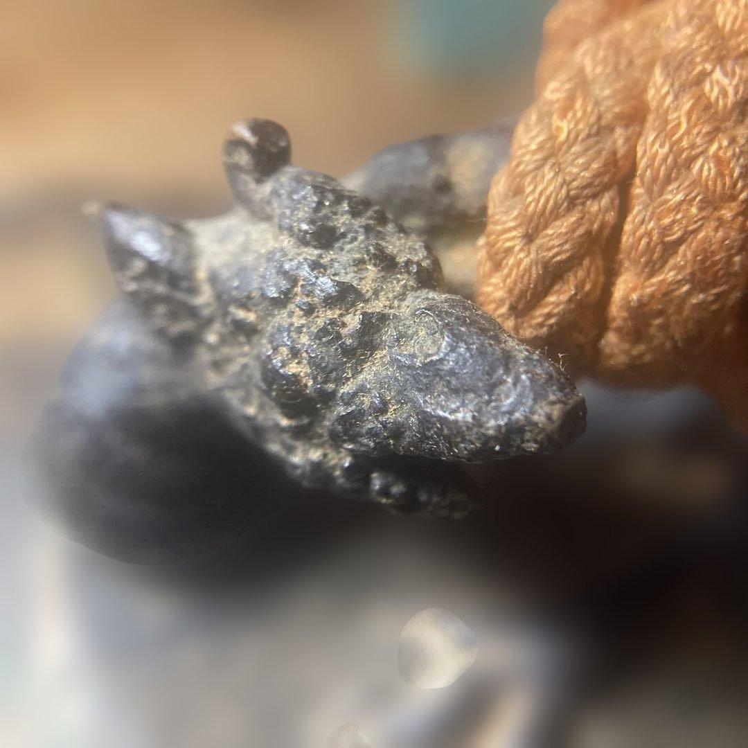 ( T_T)＼(^-^ )何⁇これ、古い五三の桐と梵字の特大の鈴です。