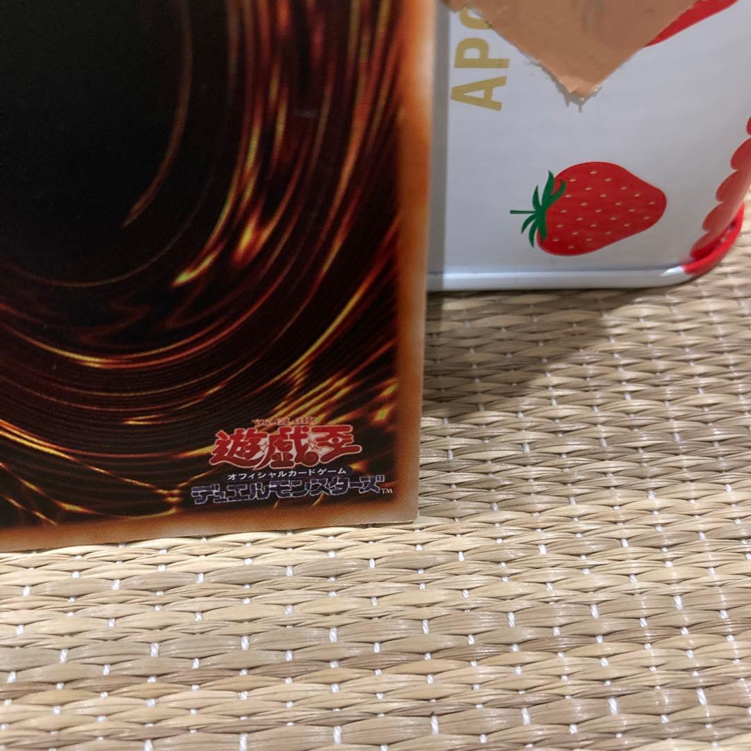 遊戯王　トゥーンブラックマジシャンガール　ウルトラ