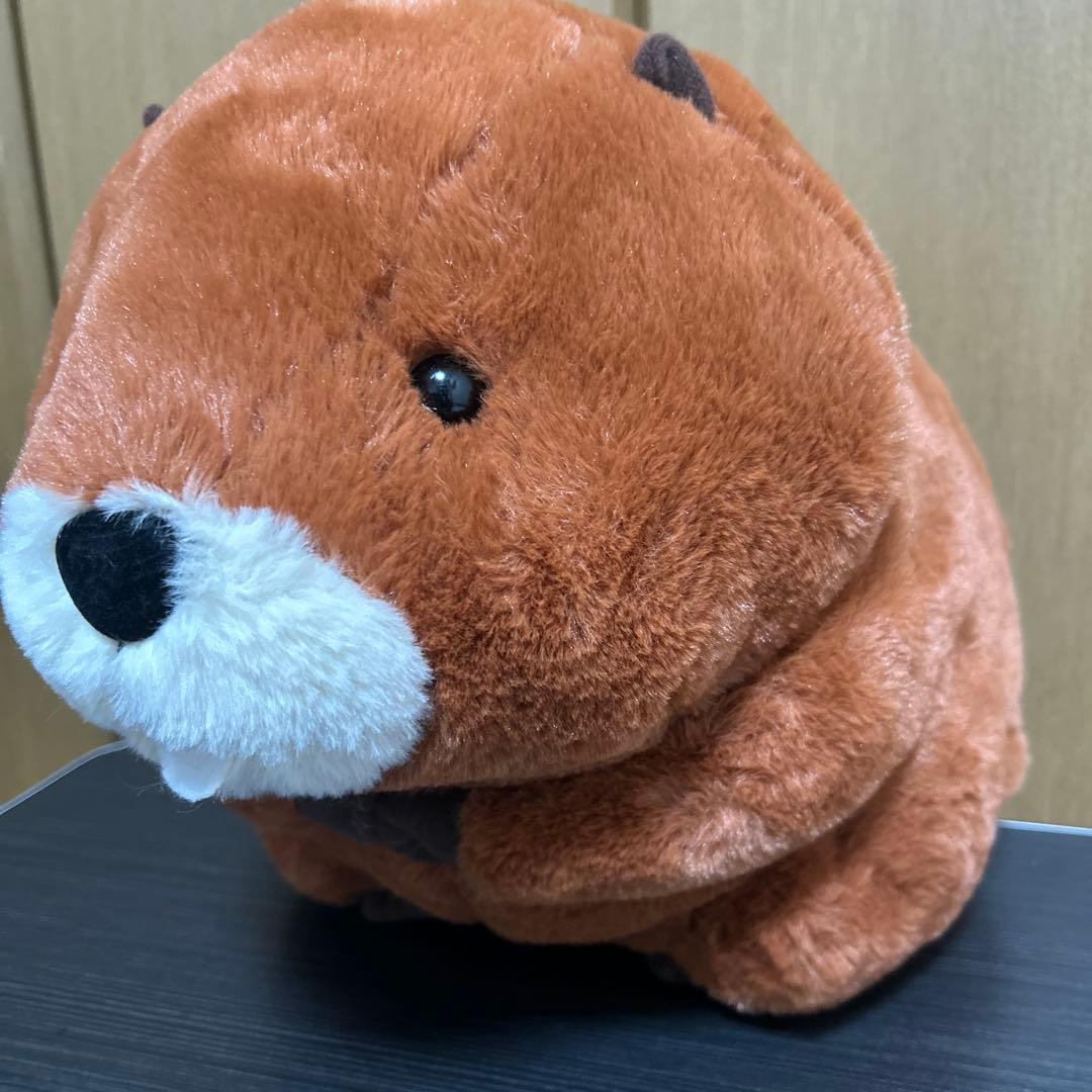 むっちりビーバーたっち ウルトラBIG 全3種