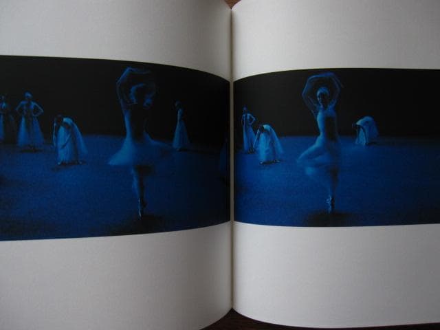 アート・デザイン・音楽 Photographs of the New York City Ballet