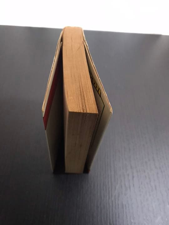 レインジャー忍法　冒険のヒーローになれる　宮崎惇