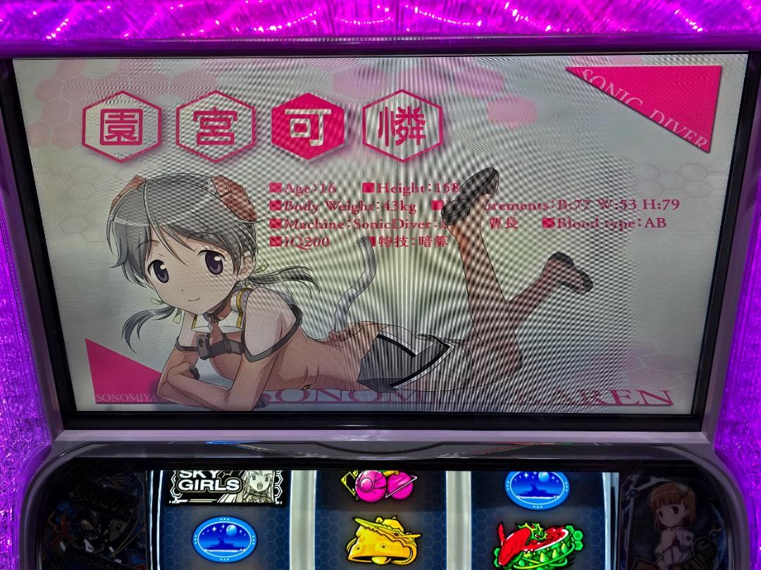 SスカイガールズKK 実機