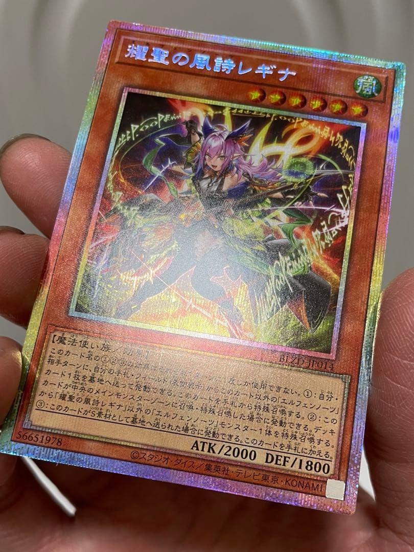 【最安値】エルフェンノーツ　レギナ　プリシク