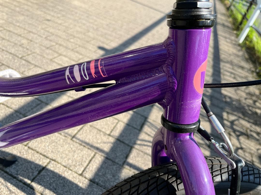 専用出品GIANT/Liv Adore キッズバイク 16インチ