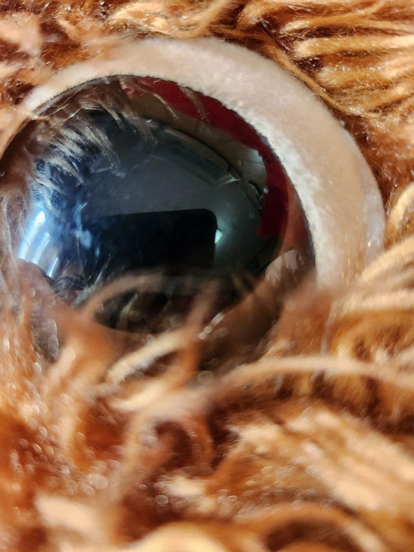 グレムリン　ギズモ　ぬいぐるみ　　ジュンプランニング　モグワイ