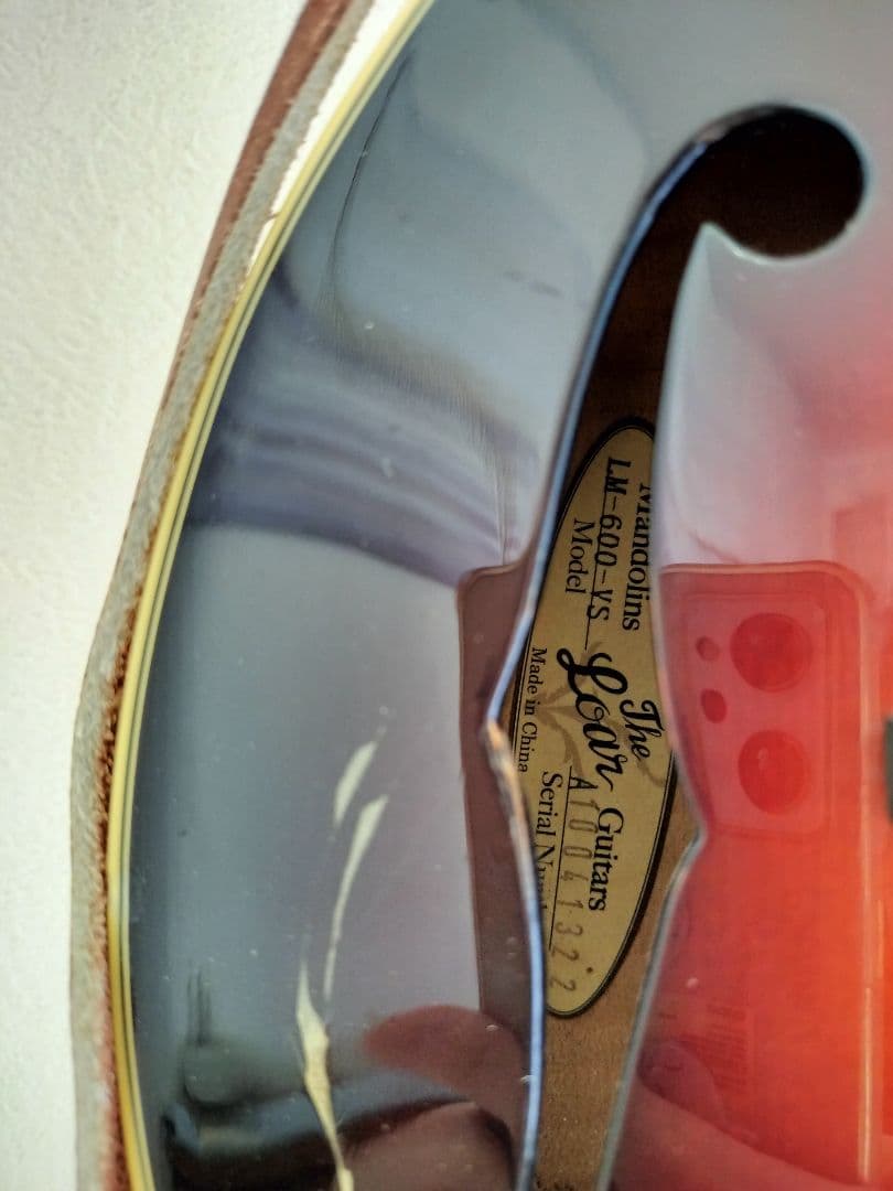 The Loar フラットマンドリン