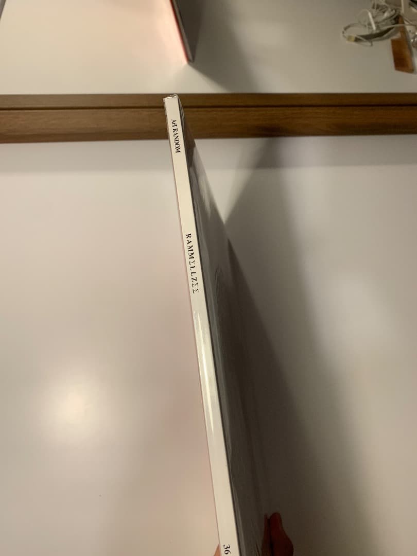 RAMMELLZEE ACTS OF TERRORISM　ラメルジー