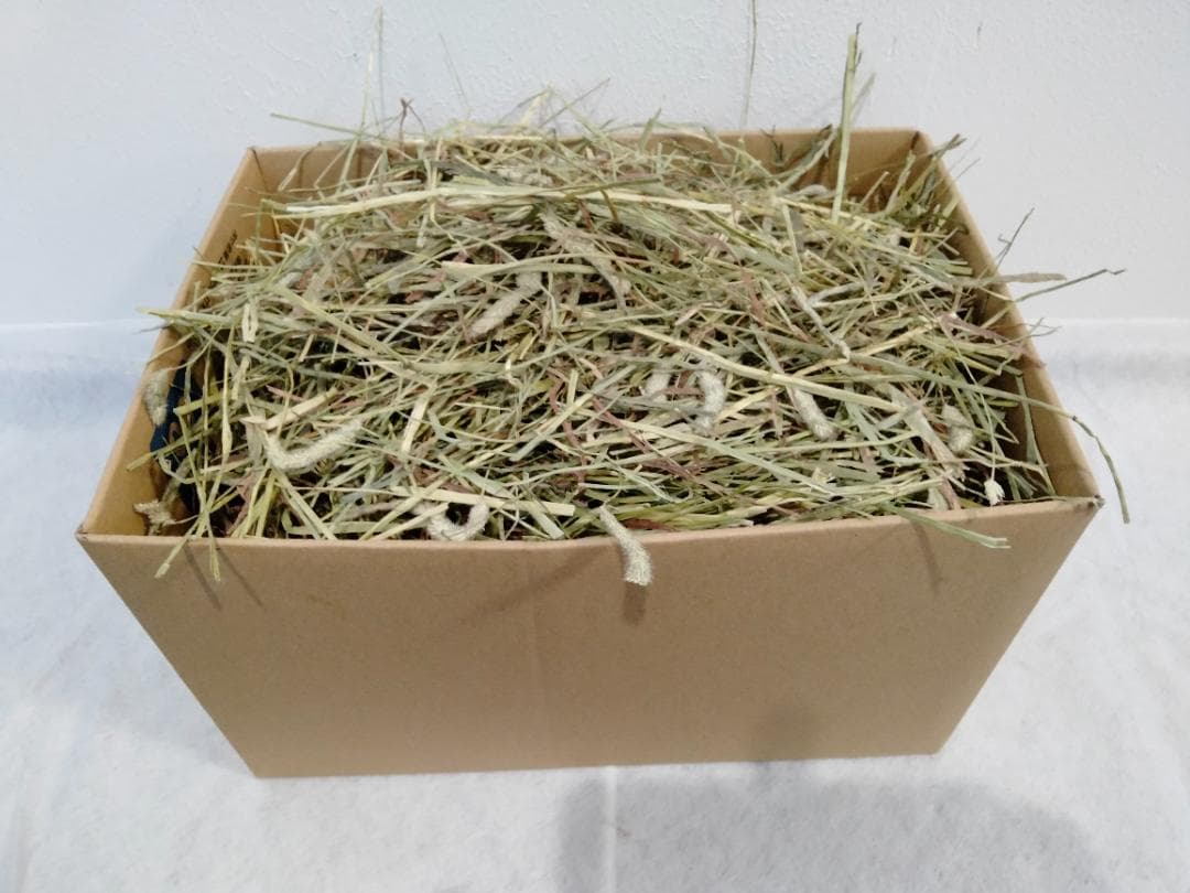 【5/31まで】 カナダ産 チモシー 50kg スーパープレミアム １番刈り