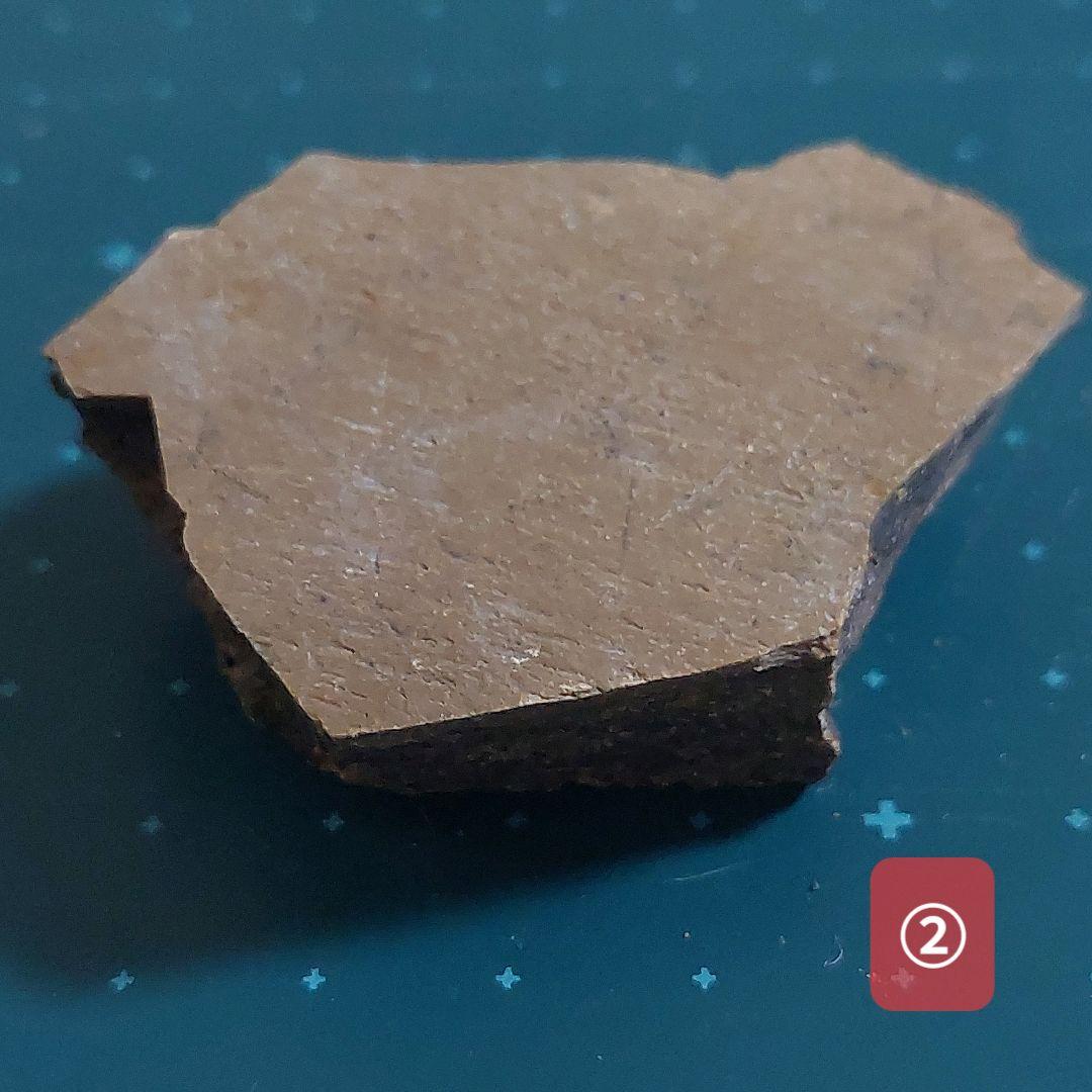 【未使用】カナダ　アルバータ州　恐竜　骨　化石　ティラノサウルス