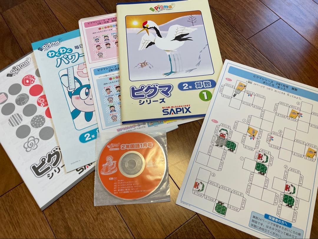 【未記入】サピックス　ピグマ　2年生　通信