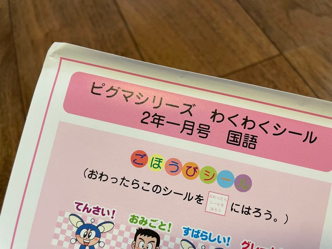 【未記入】サピックス　ピグマ　2年生　通信