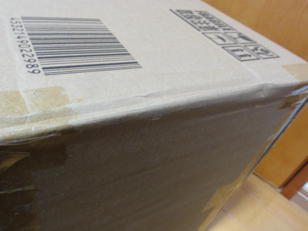 東宝30cmシリーズ ゴジラ 2023 少年リック限定盤 未開封未使用新品