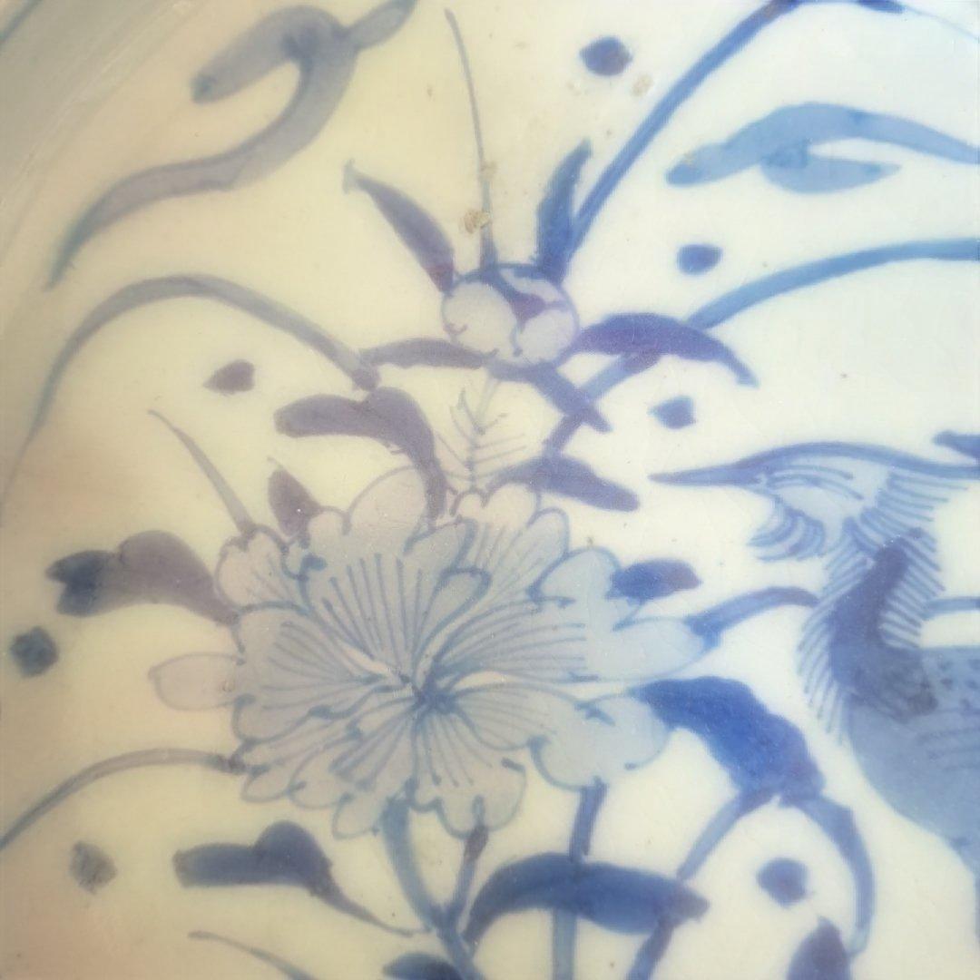 「まるで若冲(じゃくちゅう)のタッチ？！」 古伊万里染付皿(最大幅23cm) 骨