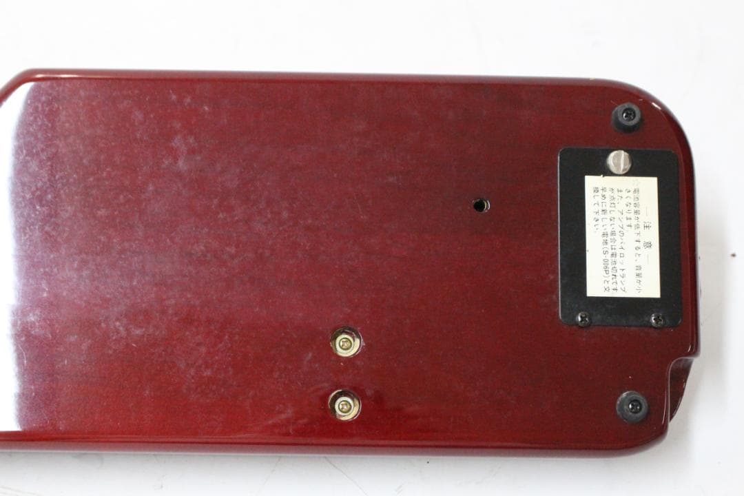 ♡SUZUKI 大正琴 蘭 ソフト 電気大正琴 ケース付き EE0H01009