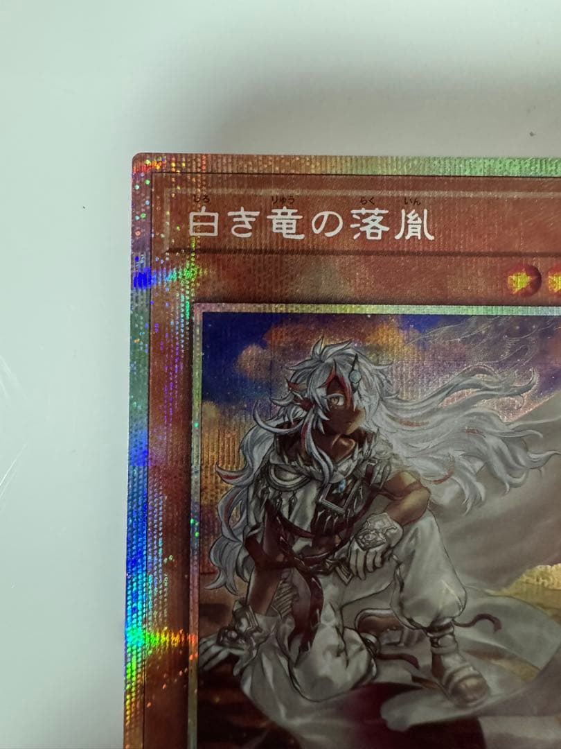 遊戯王OCG 白き竜の聖騎士 & 黒き竜のエクレシア　プリズマ