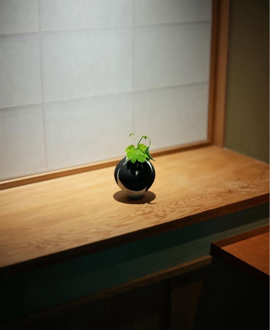 【野口寬斉】Jomon Yakishime 新品未使用 落款・印 共箱筆跡付き