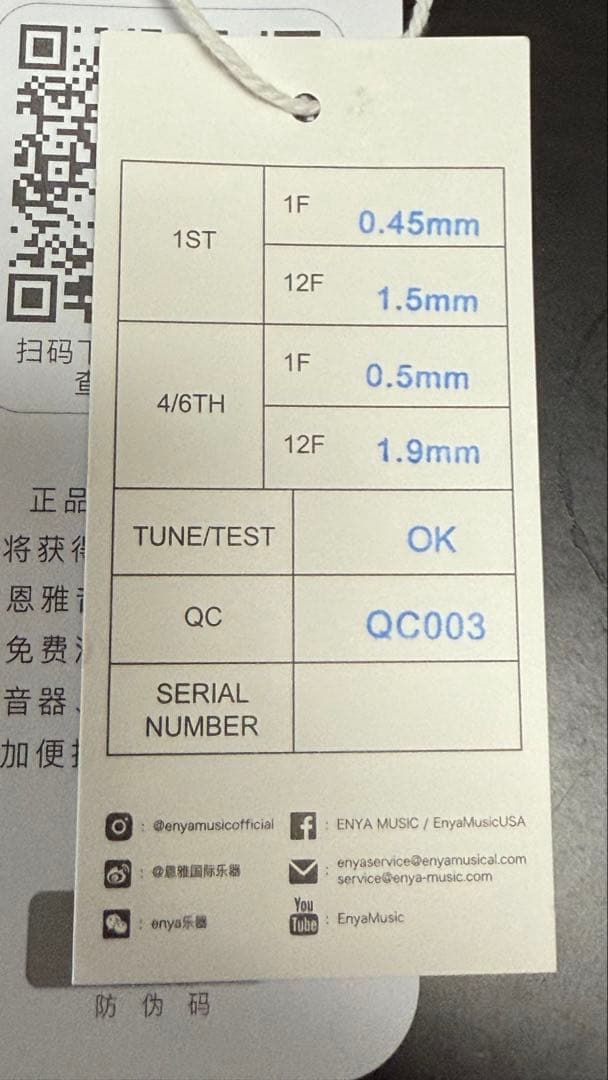 ENYA Inspire  ホワイト　アンプ内蔵エレキギター