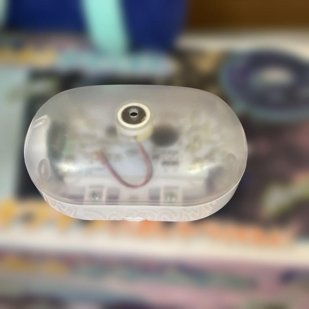 ポケットモンスター　なでておしゃべり♪きらめきテラパゴス　タカラトミー