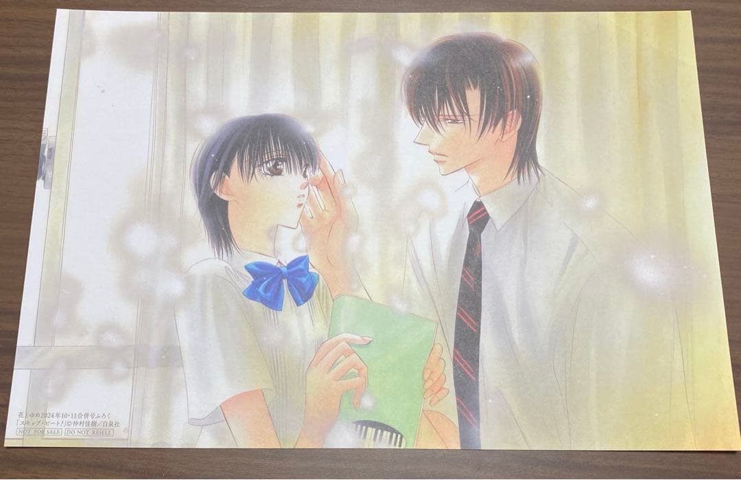 スキップビート　付録　まとめ売り