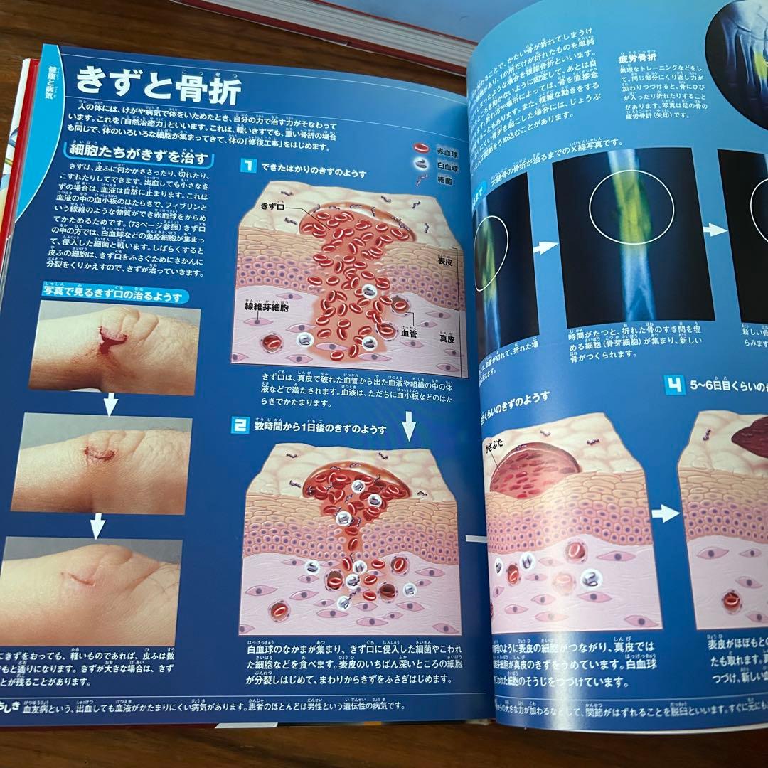 美品✨学研の図鑑LIVE 新版 13冊セットDVDセット✨＋実験キット3種付き◆