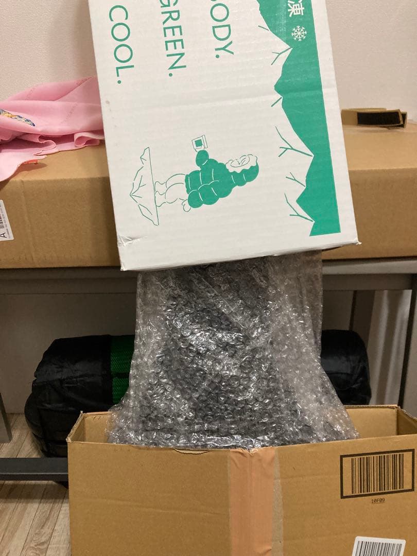 Bacchus BTE-2 rtm OPWテレキャスタータイプ