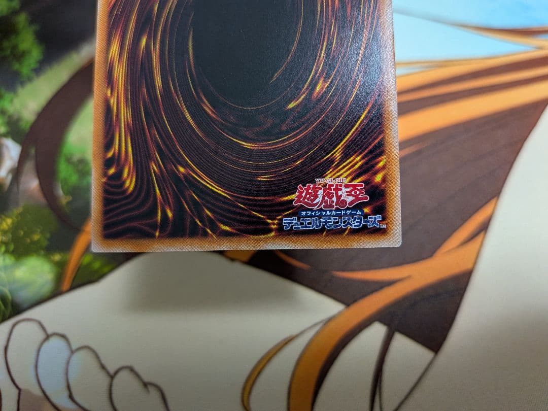 遊戯王　S:P　リトルナイト　25th　QCレア　クオシク　クウォシク