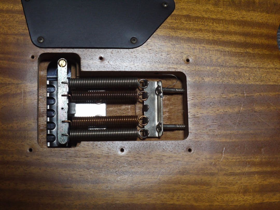 ギター Ibanez S470 WN SOL