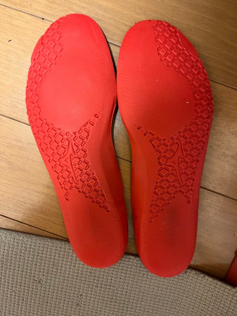 ミズノ BDSS 限定 ブラック バドミントン シューズ ウエーブクロー プロ