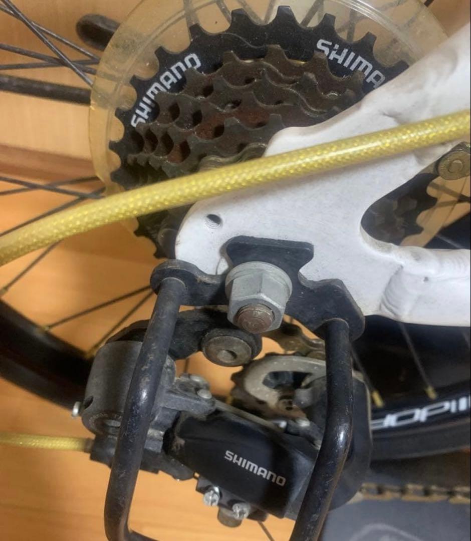 DOPPEL GANGER 550 INTERLAGOS 20インチ ミニベロ