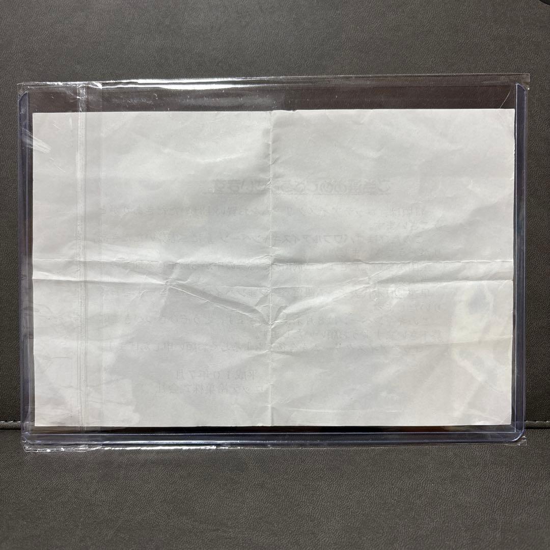 ハイパーヨーヨー 日本代表チーム 限定品 ジャパンナショナルチーム 激レア