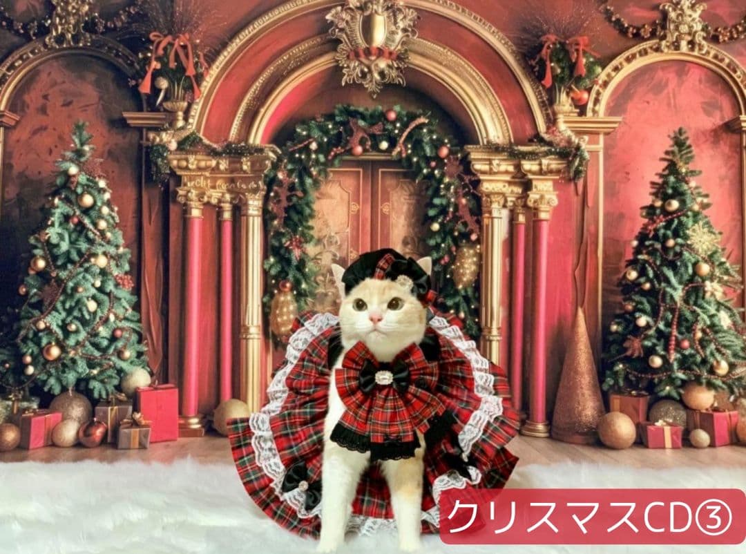 背景布【お正月I】サンプル　縦長　ペット撮影用ブース年賀状　梅の花　和柄　赤富士