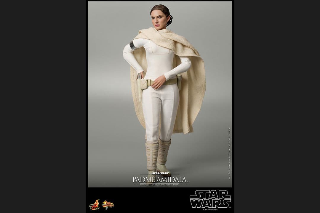 新品未開封 ホットトイズ パドメ