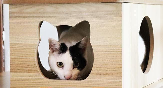 2025新型キャットタワー 木製 宇宙船　展望台　多頭飼い 大型猫　178cm