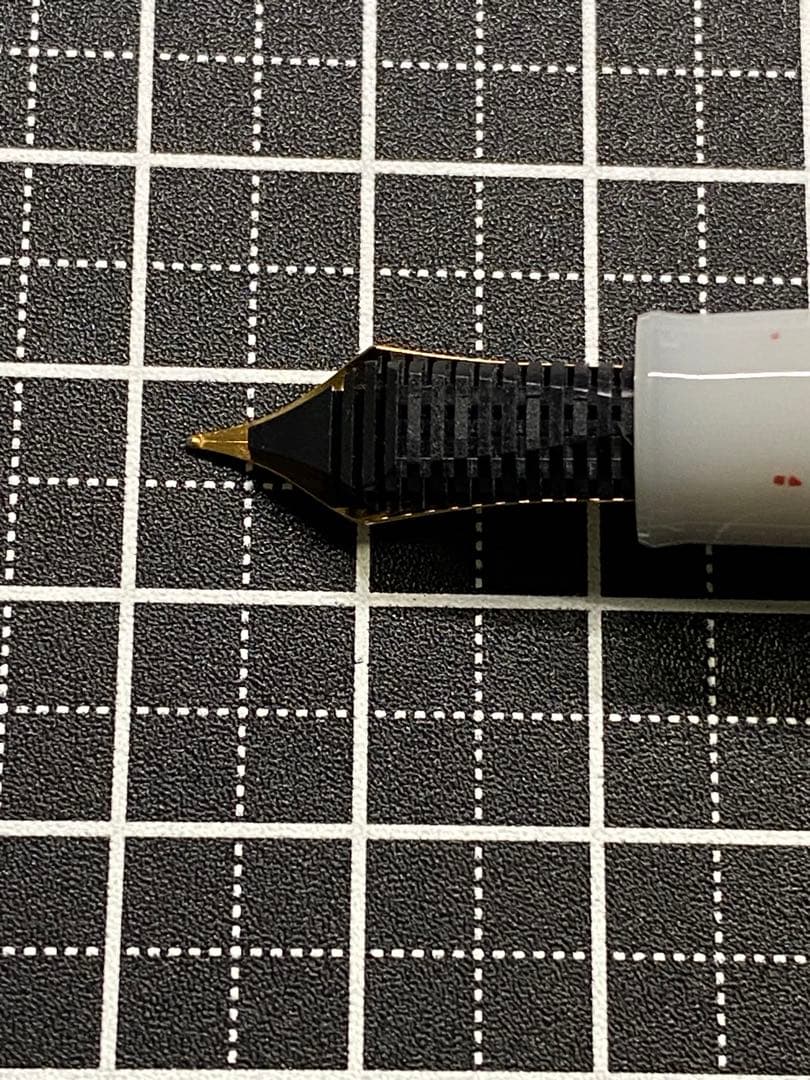 SAILOR 四季織　雪椿　万年筆　字幅MF