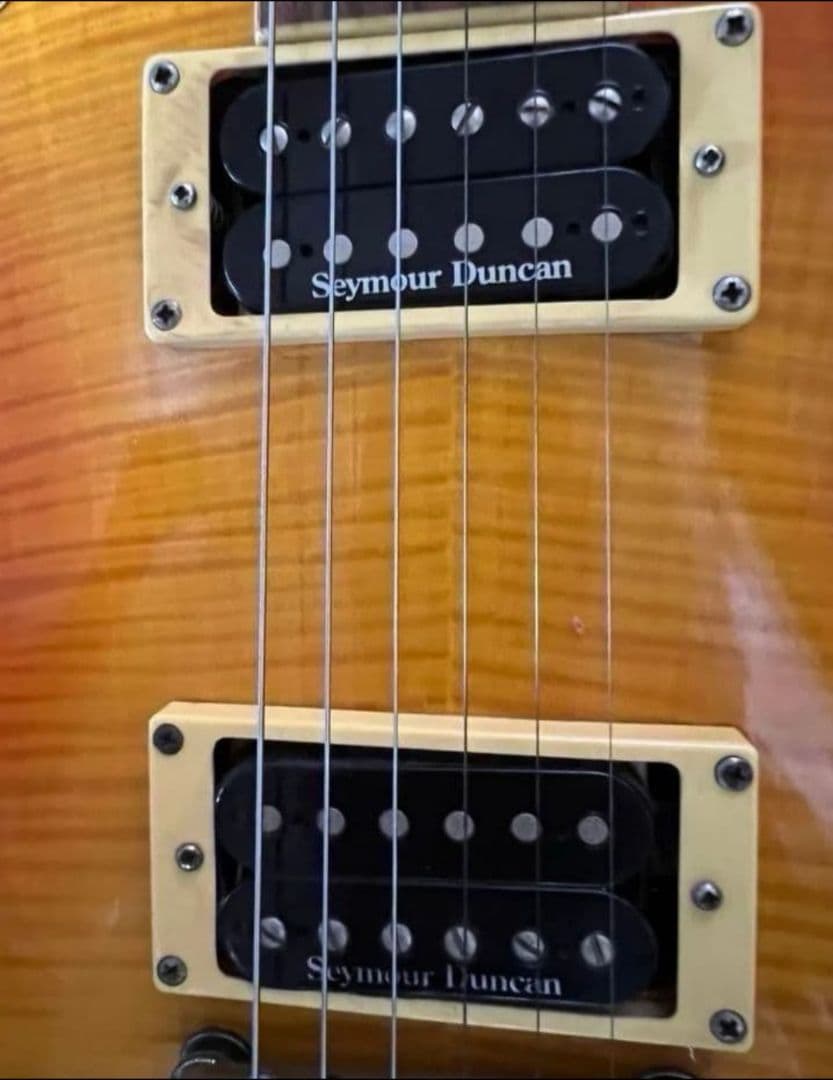 【fernandes】Ravelle Dx