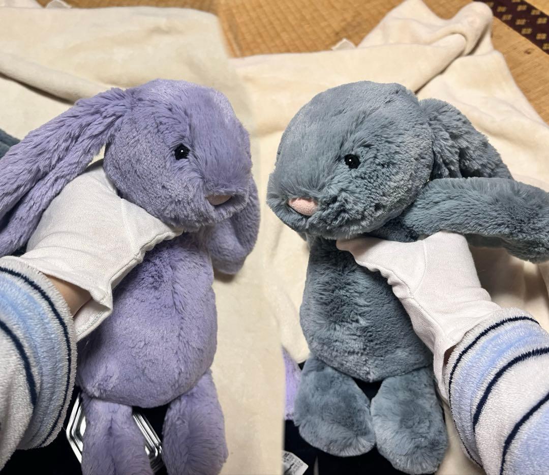  Bashful Dusky Blue ・Viola