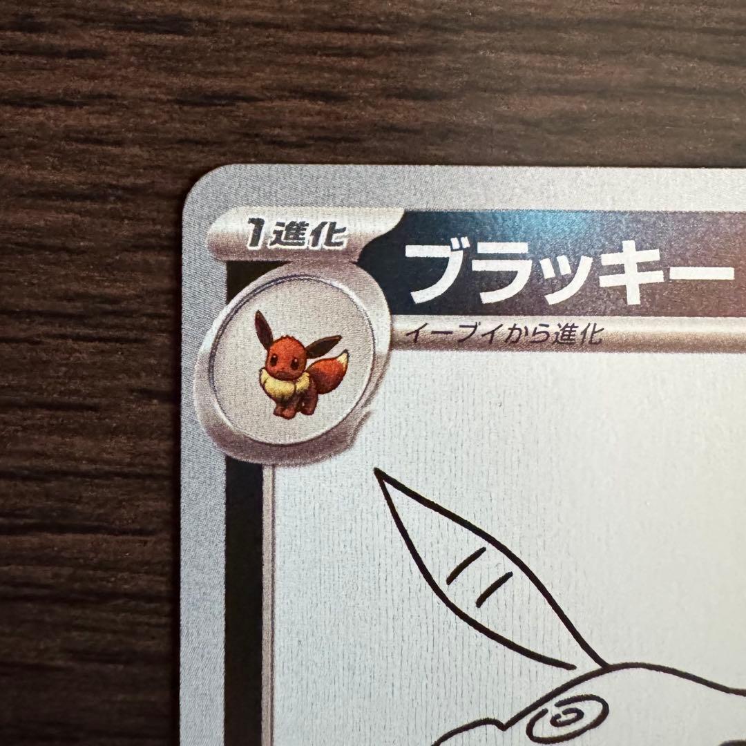 c*o様 ブラッキー　YU NAGABA