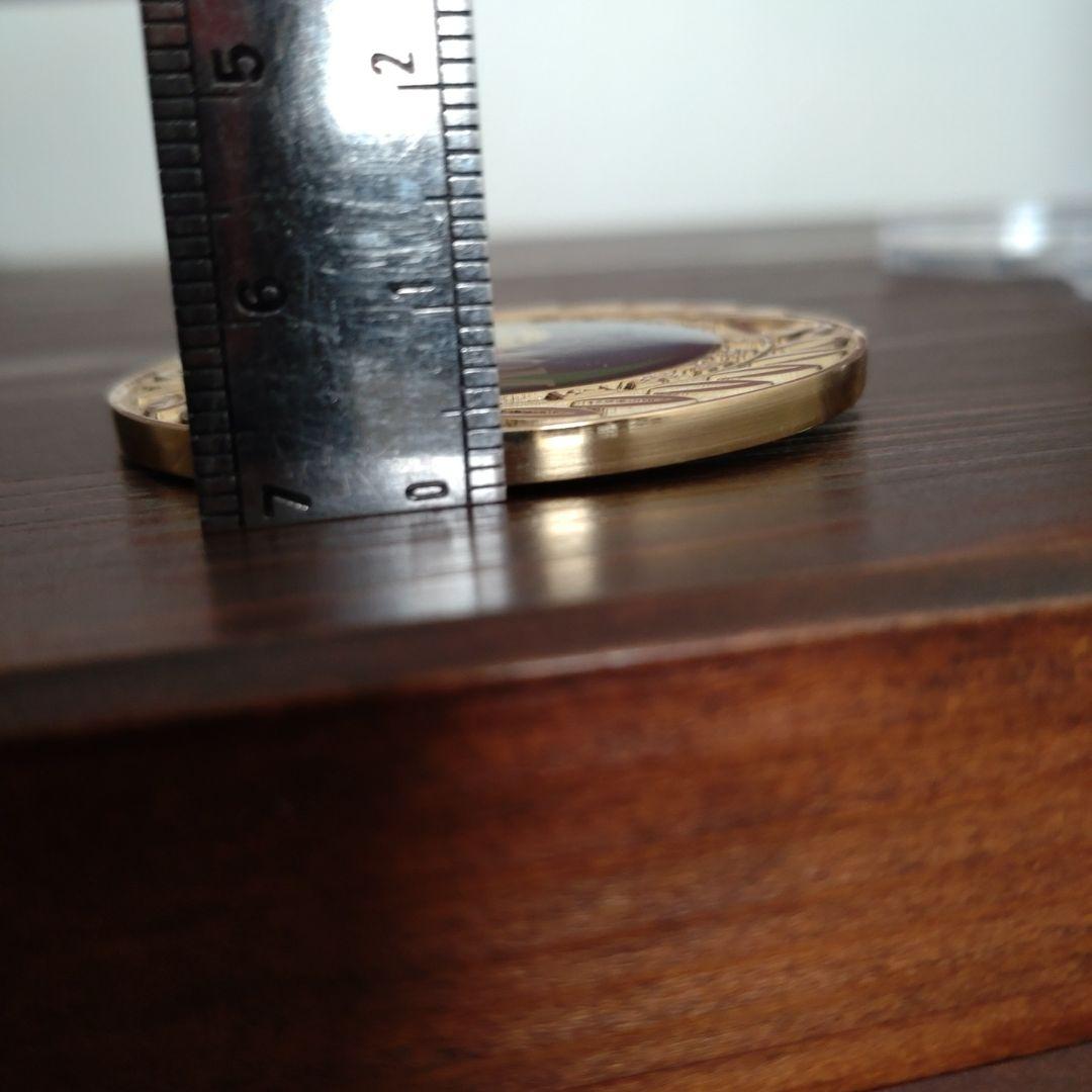 自衛隊陸上自衛隊チャレンジ開発実験団長メダルケース付き希少品