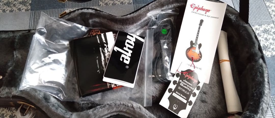 ギター Epiphone TAK MATSUMOTO DC STANDARD