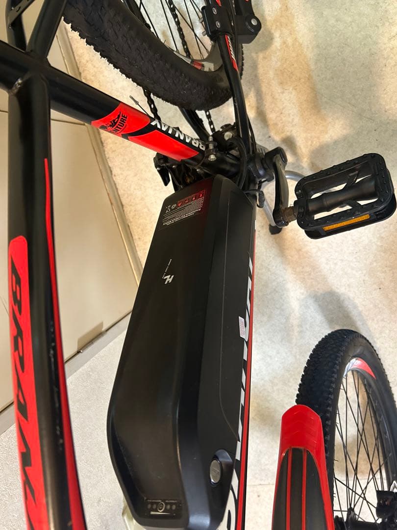 Branjay 電動アシスト自転車 スポーツタイプバッテリー￼10ah X 2