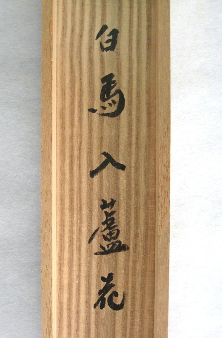 【真筆】茶掛　白馬入蘆花◆大徳寺 塔頭黄梅院 住職 小林太玄 共箱・タトウ箱付
