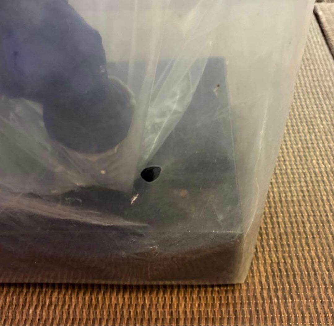 一番くじ　ドラゴンボール　ラストワン賞　大猿ベジータ