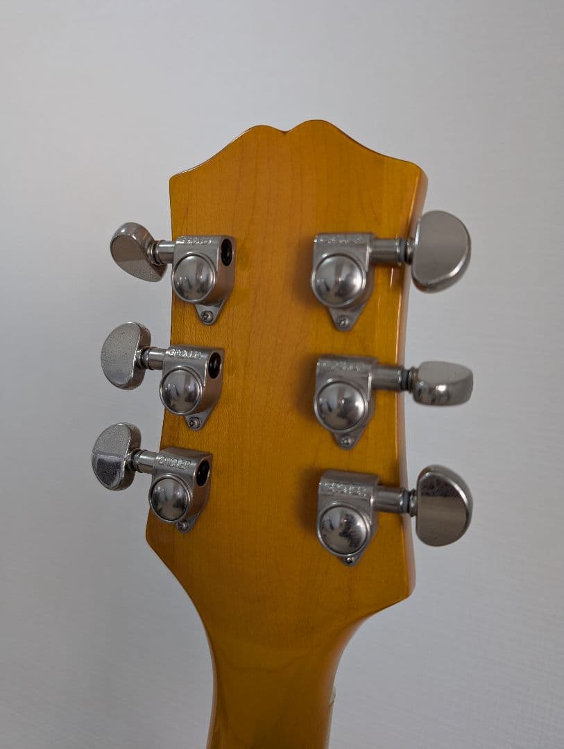 Epiphone Wildkat エピフォン　ワイルドキャット　ビグスビ―付