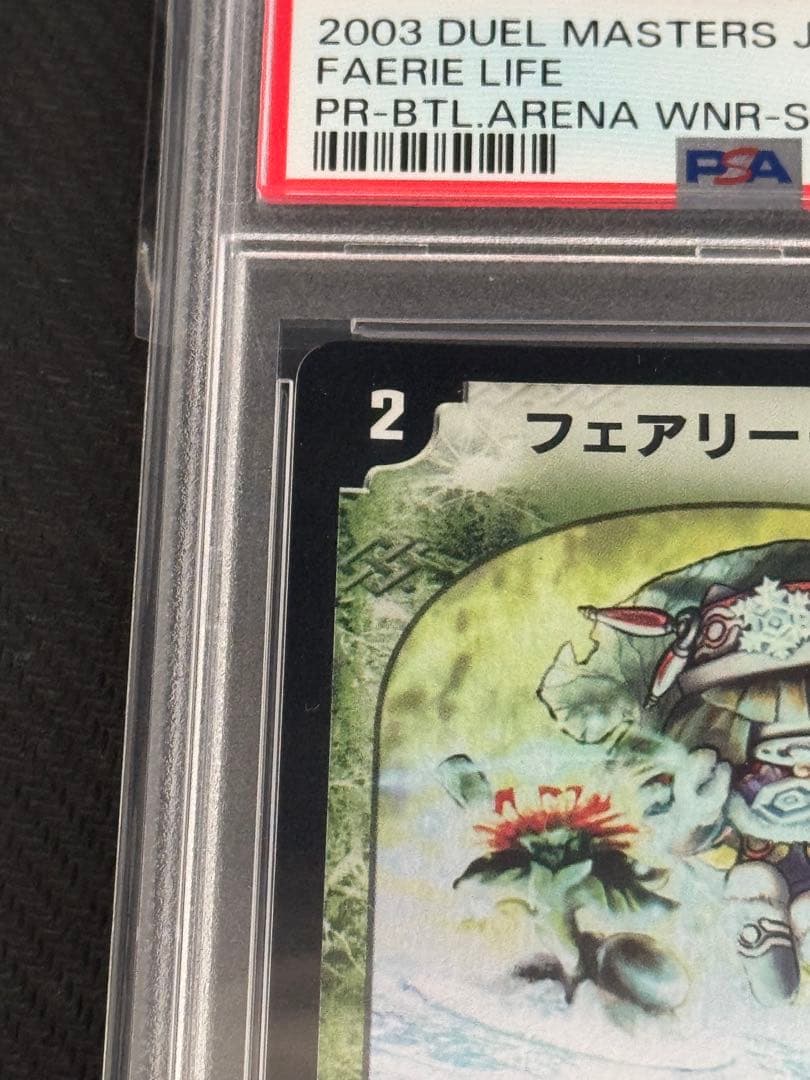 フェアリーライフ　プロモ　PSA9